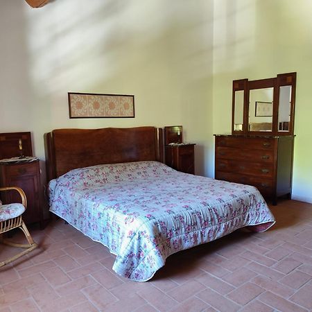 Casa Daria, Armonia Del Passato Nel Rispetto Della Natura Donoratico Extérieur photo