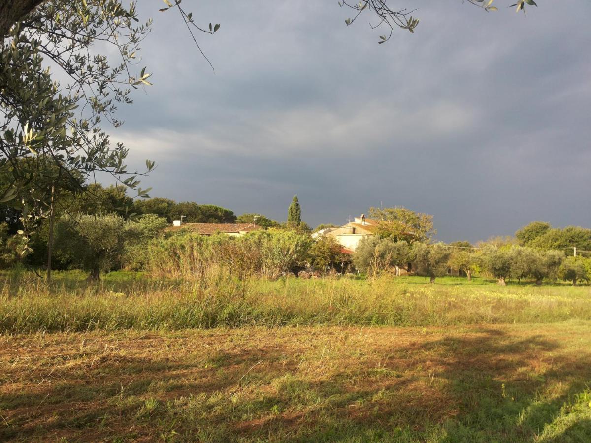 Casa Daria, Armonia Del Passato Nel Rispetto Della Natura Donoratico Extérieur photo