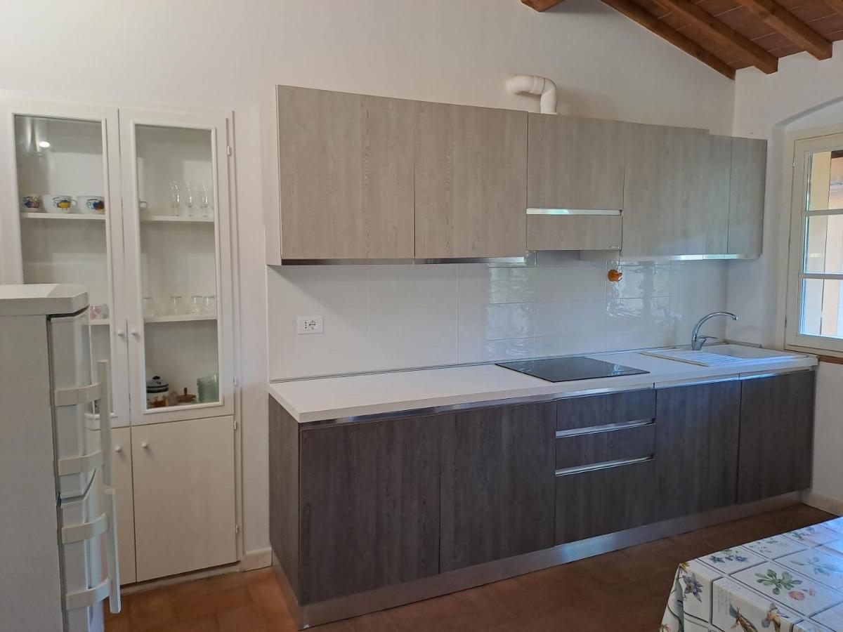 Casa Daria, Armonia Del Passato Nel Rispetto Della Natura Donoratico Extérieur photo